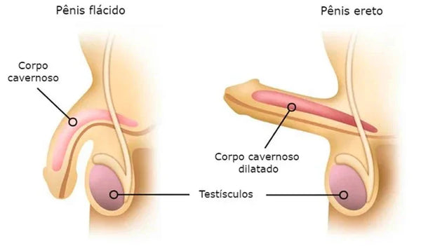 Inovações no Tratamento da Impotência Sexual